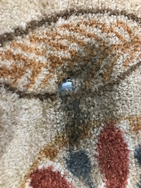 Photo 3 of **has damage** Maples Rugs Reggie Floral Kitchen Rugs Non Skid Accent Area Carpet [Made in USA], 2'6 x 3'10, Beige