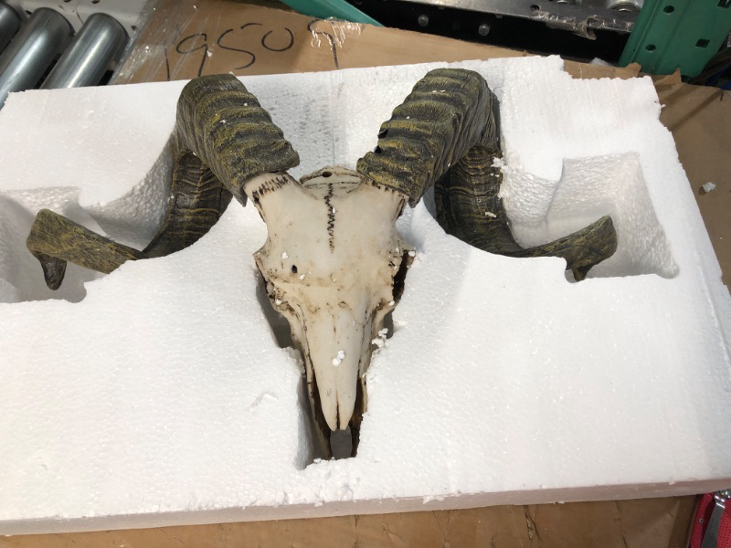 Photo 2 of * please see images for damage * 
Design Toscano Corsican Ram Skull and Horns Wall Trophy