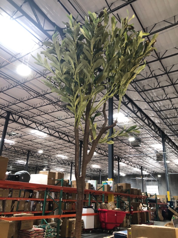 Photo 2 of **USED*
Phimos Artificial Olive Tree Tall Fake Potted Olive Silk Tree with Planter Large Faux Olive Branches and Fruits Artificial Tree (5.24FT)