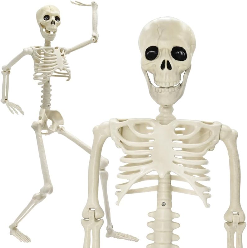Photo 1 of  Posable Halloween Skeleton
