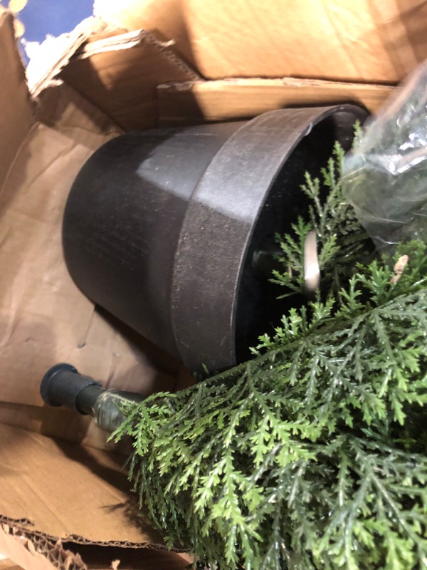 Photo 1 of Nearly Natural 5292 6ft. Mini Cedar Pine Tree (Indoor/Outdoor),Green,6' 6 ft