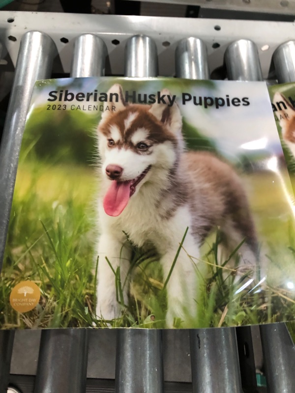 Photo 3 of 2023 Siberian Husky Puppies Wall Calendar by Bright Day, 12x12 Inch, Cute Adorable Pet Dog Photography