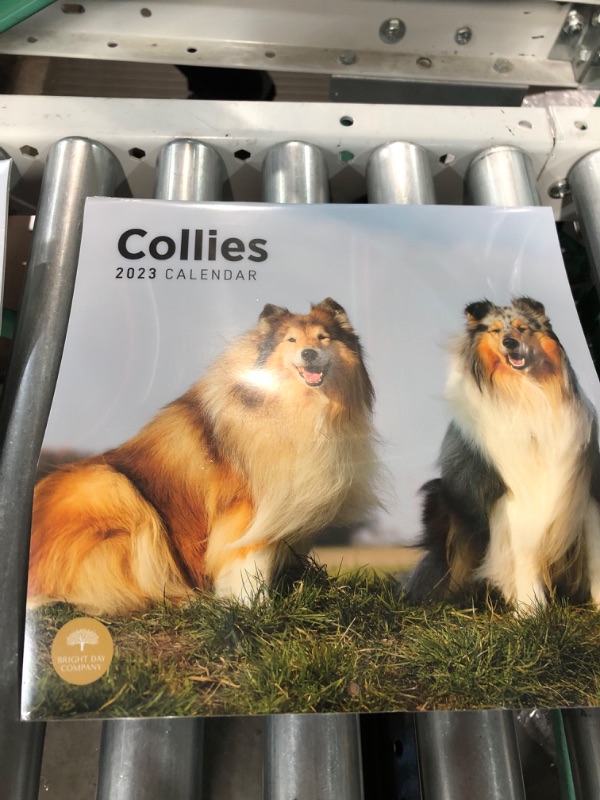 Photo 2 of 2023 Collies Wall Calendar by Bright Day, 12x12 Inch, Cute Adorable Pet Puppy Dog Photography