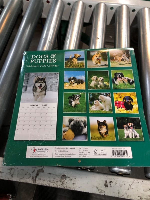 Photo 4 of 2023 Dogs & Puppies Monthly Wall Calendar by Red Robin Calendars 12" x 12" *PACK OF 7*