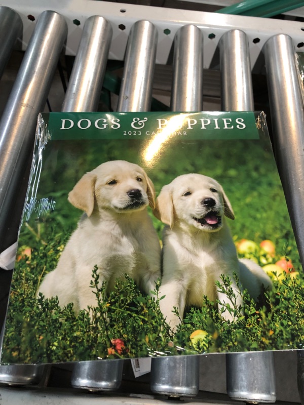 Photo 3 of 2023 Dogs & Puppies Monthly Wall Calendar by Red Robin Calendars 12" x 12" *PACK OF 7*