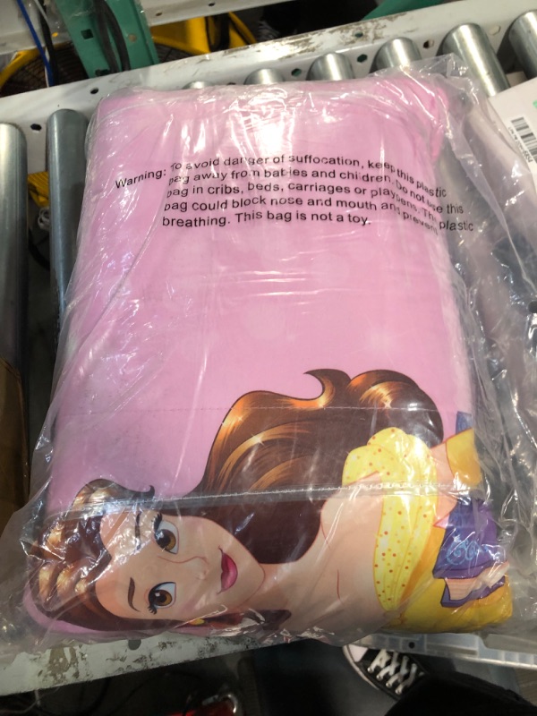 Photo 3 of Jay Franco Disney Princess Friendship 8-Piece Twin Bedding