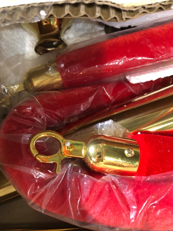 Photo 6 of  Stainless Steel Stanchio Red Velvet Rope