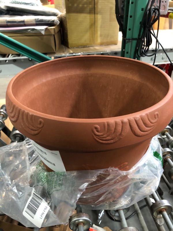 Photo 3 of PSW OF33TC Dragonfly Pot, 13 by 11-Inch, Terra Cotta Color Terra Cotta 13 by 11-Inch