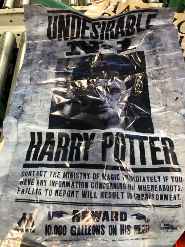 Photo 4 of  The Wizarding World: Harry Potter & Sirius Black Wanted 22.375" x 34", Unframed Version 
