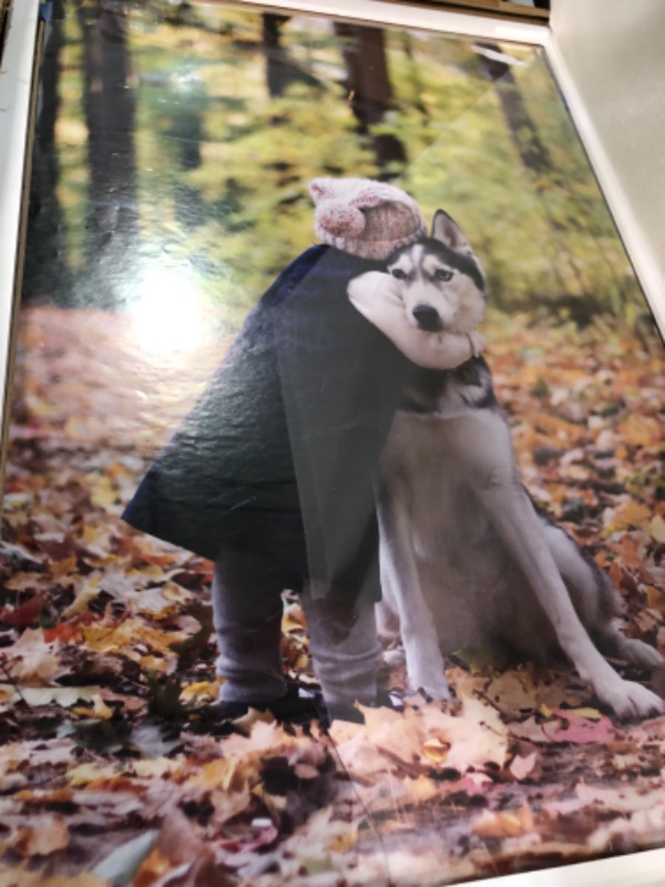 Photo 2 of ***STOCK PHOTO AS REFERENCE*** Girl Hug Husky Dog Poster Bedroom Decor 24x36 inches