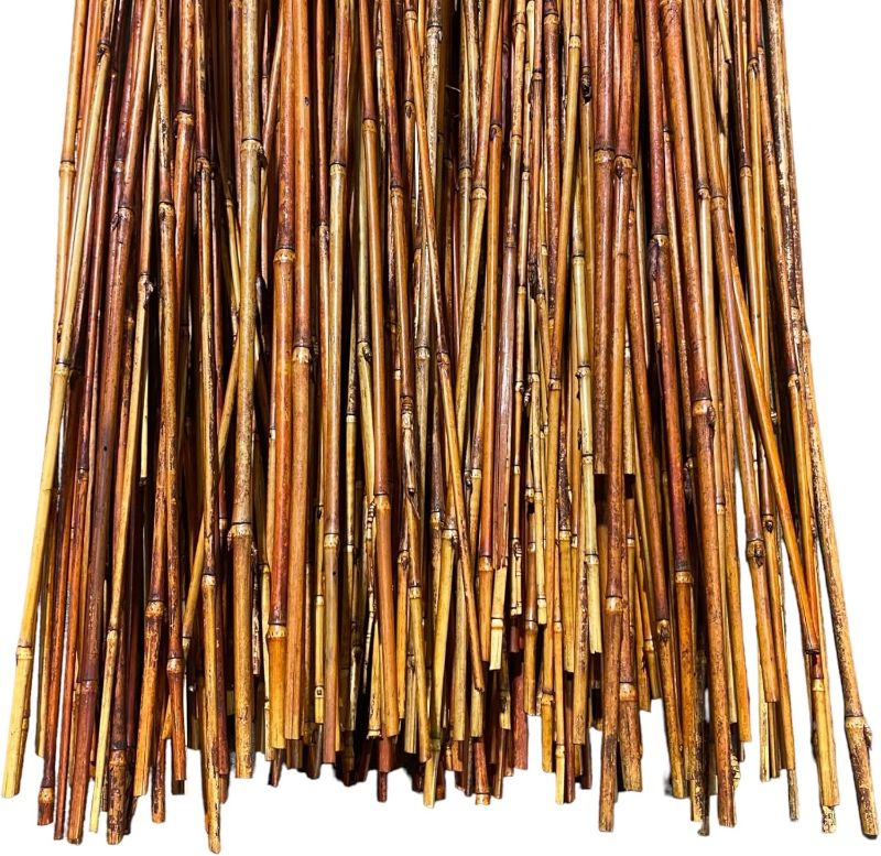 Photo 1 of 5.5 Feet Natural Thin Bamboo Stakes - Over 5 Feet Tall - Pack of 20