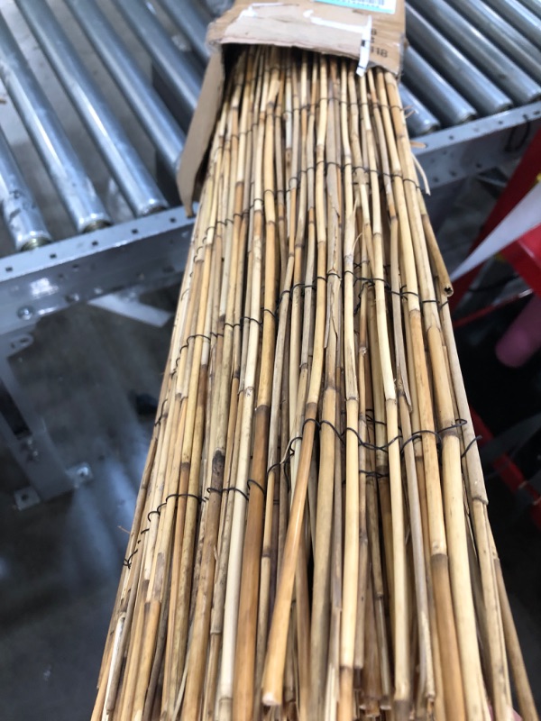 Photo 3 of 5.5 Feet Natural Thin Bamboo Stakes - Over 5 Feet Tall - Pack of 20