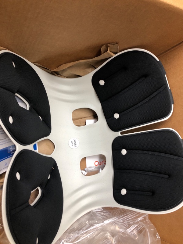 curble Chair [Adult] Ergonomic Back and Lumbar Support for Good Posture 