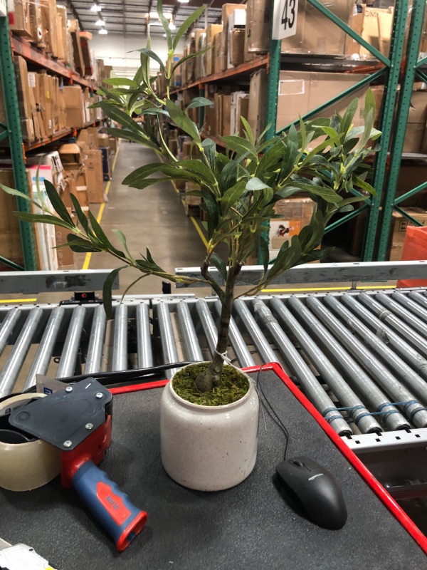 Photo 2 of * used *
Elements Olive Tree in Aged Teracotta Pot for Bathroom Farmhouse Faux Greenery 