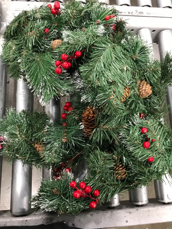 Photo 1 of christmas tree garland FROSTED TIPS