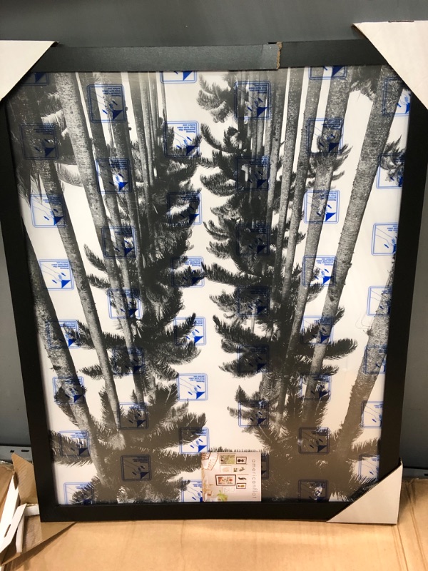 Photo 1 of Americanflat 22x28 Poster Frame in Black - Composite Wood with Polished Plexiglass - Horizontal and Vertical Formats for Wall with Included Hanging Hardware Black 22x28 Frame
