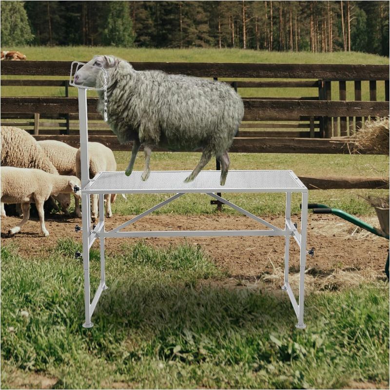 Photo 1 of 
HECASA Goat Shearing Sheep Livestock Trimming Stand Height Adjustable with Straight Head Piece 51x23 Inches Steel Gray
Color:Gray