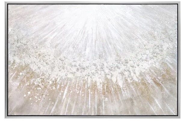 Photo 1 of "Silver Pellets" by Martin Edwards Framed Textured Metallic Abstract Hand Painted Wall Art 32 in. x 48 in.
