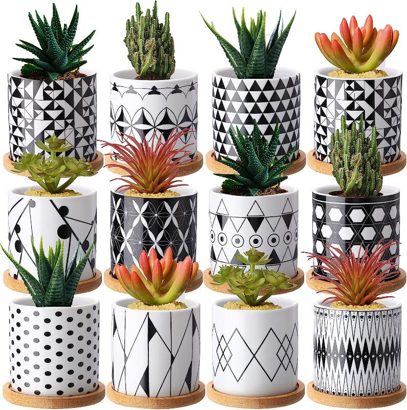 Photo 1 of 12 Pcs 3 Inch Small Geometric Ceramic Succulent Plant Pots with Drainage Hole and 12 Pcs Bamboo Trays, Mini Flower Planter Herb Cactus Pots Bulk for Home Office Boho Decor Indoor, Birthday Gifts