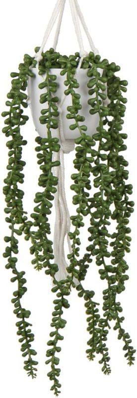 Photo 1 of  Hanging Plants String of Pearls Plant Hanging Succulents Plants Artificial Realistic Small Faux