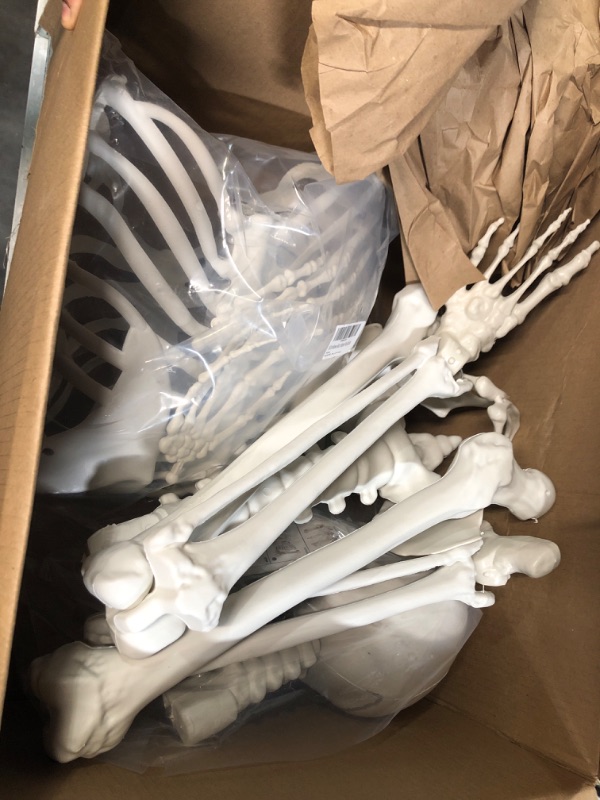 Photo 5 of * used * minor damage * 
5.4Ft/165cm Halloween Skeleton 