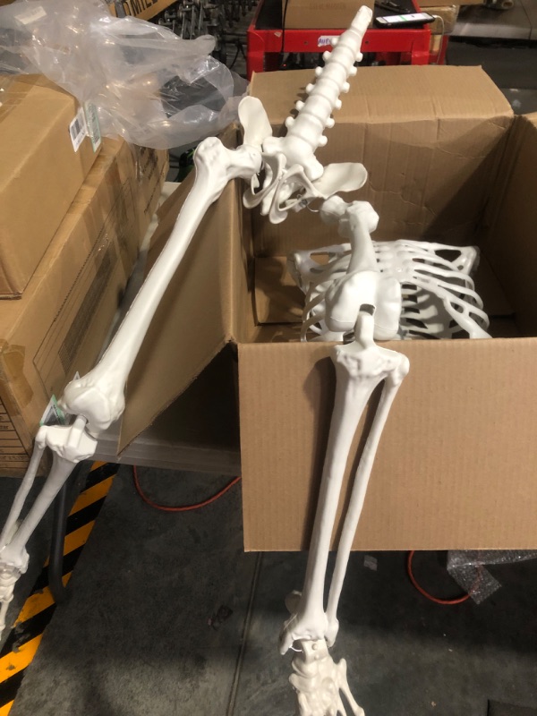 Photo 4 of * used * minor damage * 
5.4Ft/165cm Halloween Skeleton 