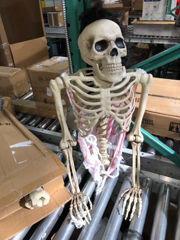 Photo 3 of (USED AND DAMAGED) DR.DUDU Halloween Skeleton