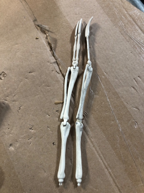 Photo 2 of **USED**
Halloween Sloth Skeleton (Giant 2 Ft Long) with Easy-to-Hang Limb Straps