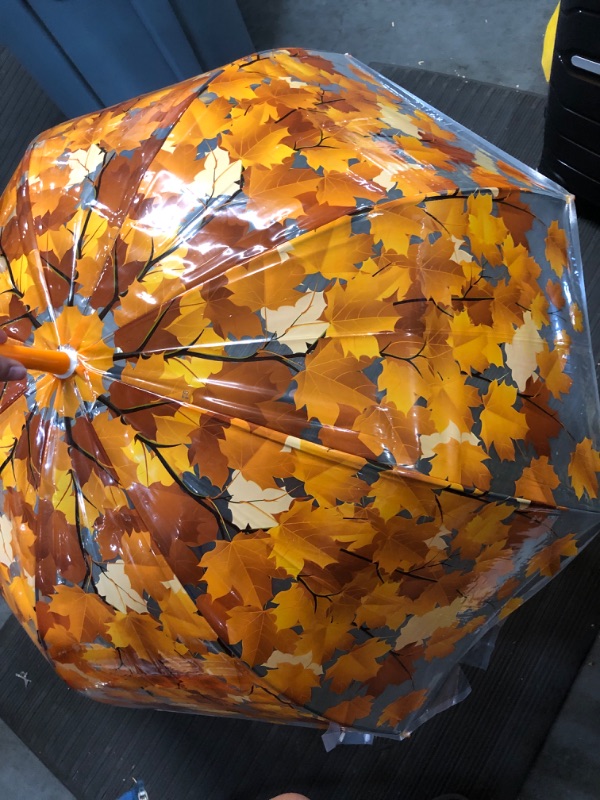 Photo 2 of **STOCK IMAGE IS A REFERENCE ONLY**
BZMC Fahsion Clear Flower Bubble Dome Shape Rain Umbrella 4 Colors PVC Material
