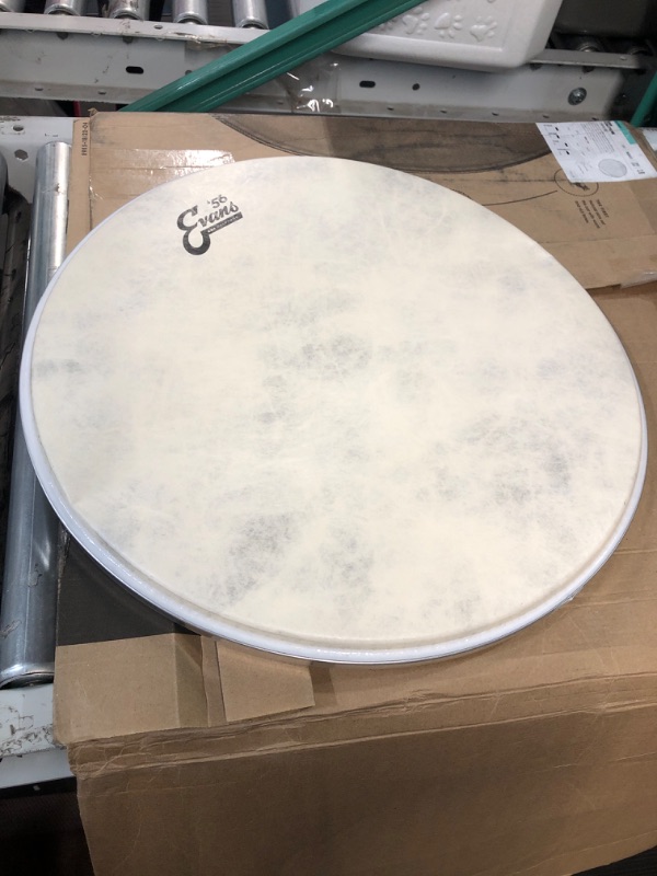 Photo 3 of **SEE PHOTOS**Evans EQ4 Calftone Bass Drum Head, 18" 18-inch