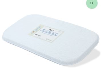 Photo 1 of Colgate oval bassinet pad  15x30x2in