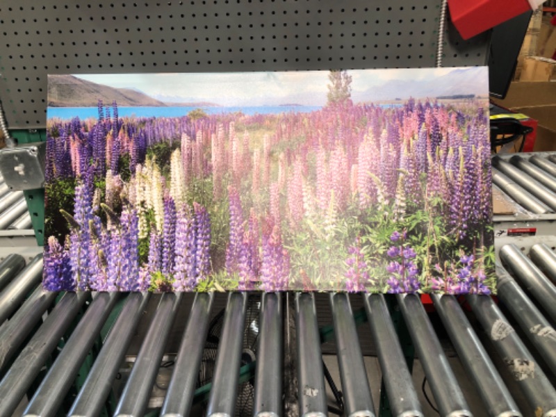 Photo 2 of **SEE NOTES**Nature Mountain Landscape Canvas Wall Art New Zealand Purple Flowers Scenery Picture Artwork 20x40"