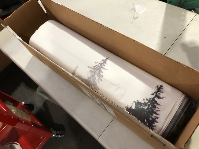 Photo 1 of ***ITEM IS CUT - REFER TO PHOTOS*** SIGNWIN Wall Mural Foggy Forest 66"x96"