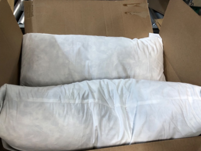 Photo 1 of 2 PACK LONG COUCH PILLOWS FEATHER 