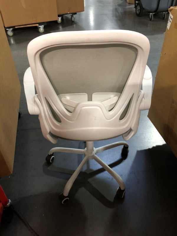 Photo 1 of Primy Office Chair Ergonomic Desk Chair with Adjustable Lumbar Support and Height?Gray?