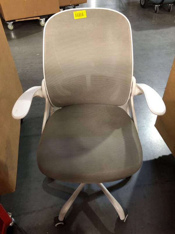 Photo 1 of Primy Office Chair Ergonomic Desk Chair with Adjustable Lumbar Support and Height?Gray?