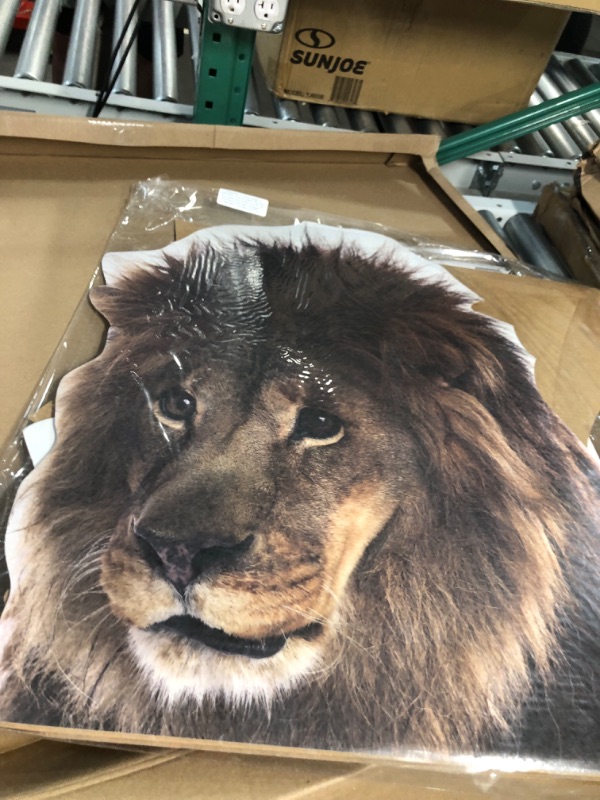 Photo 3 of BundleZ-4-FanZ Lion Big Cat Lifesize Cardboard Cutout/Standup Fan Pack, 155cm x 87cm Includes Mini Cutout/Standup and 8x10 Photo