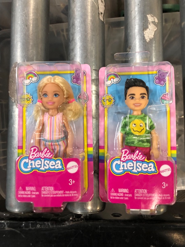 Photo 1 of Barbie Chelsea Dolls, Pack of 2