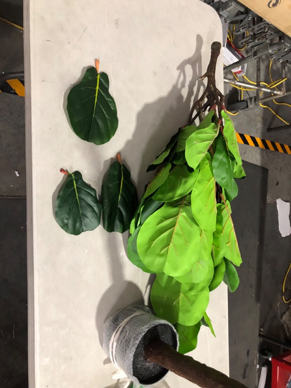 Photo 4 of ***DAMAGED - SEE NOTES***
SOGUYI Artificial Fiddle Leaf Fig Tree 7 Feet Tall