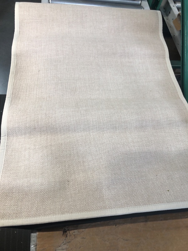 Photo 2 of (USED/Minor Damage) Indoor Area Rugs, 7'-9" x 9'-9", Blush 12 ft