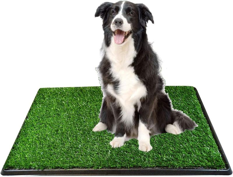 Photo 1 of **USED BUT APPEARS NEW** Dog Grass Pet Loo Indoor/Outdoor Portable Potty, Artificial Grass Patch Bathroom Mat and Washable Pee Pad for Puppy Training, Full System with Trays Pet Training Tray 20"x16"