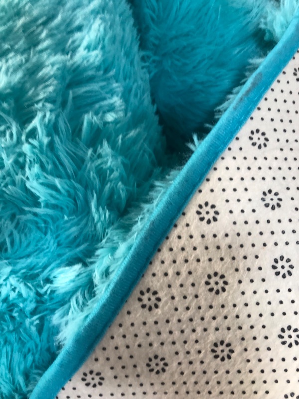 Photo 1 of **USED BUT APPEARS NEW** 4'x6' Shag Rug 