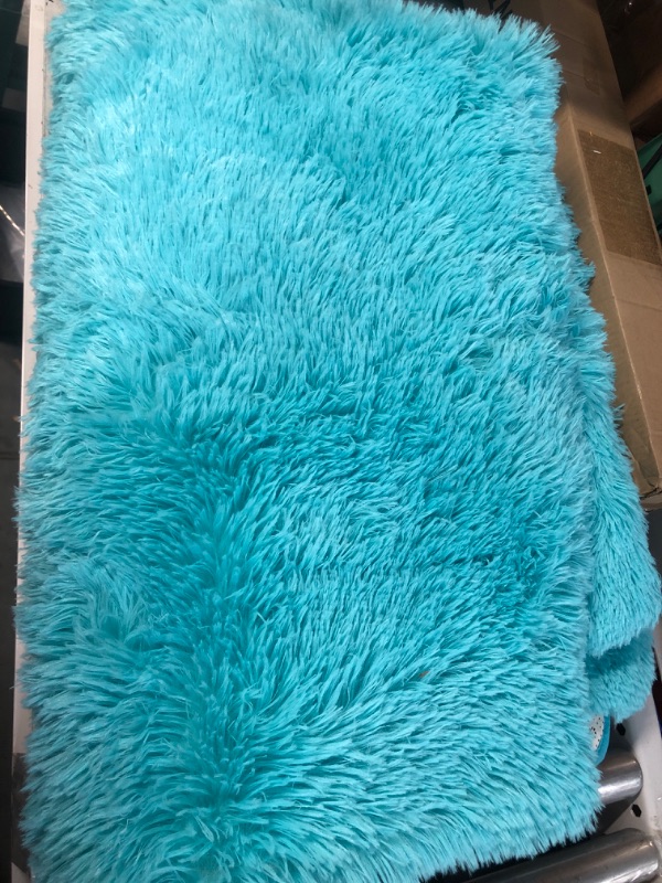 Photo 1 of **USED BUT APPEARS NEW** 4'x6' Shag Rug 