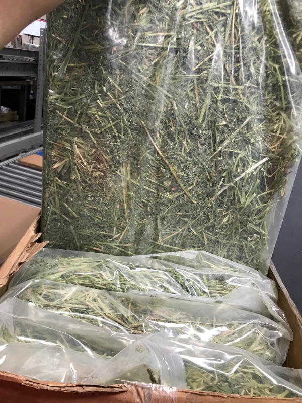 Photo 4 of 2 BOXES OF 4 PACKAGES IN EACH BOX Fresh Alfalfa Hay 40Lbs by Bunny Honey - Natural Hay for Guinea Pigs, Rabbits, Hamsters, Hedgehogs, and More Small Animal Pets - Not Blended, Green Chopped & Delivered Fresh