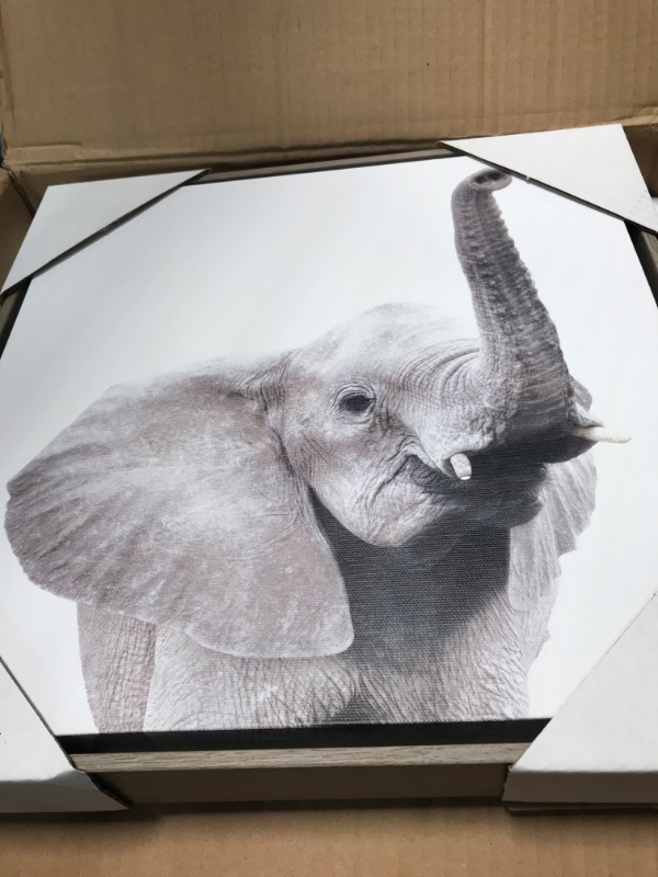 Photo 4 of ***Missing 3/6, see photos.***
Kate and Laurel Sylvie Safari Animal Collection Framed Canvas Wall Art by Amy Peterson Art Studio, Set of 6, 13x13 Gray, Decorative Animal Art for Wall 6 Piece 13x13 Thin Gray