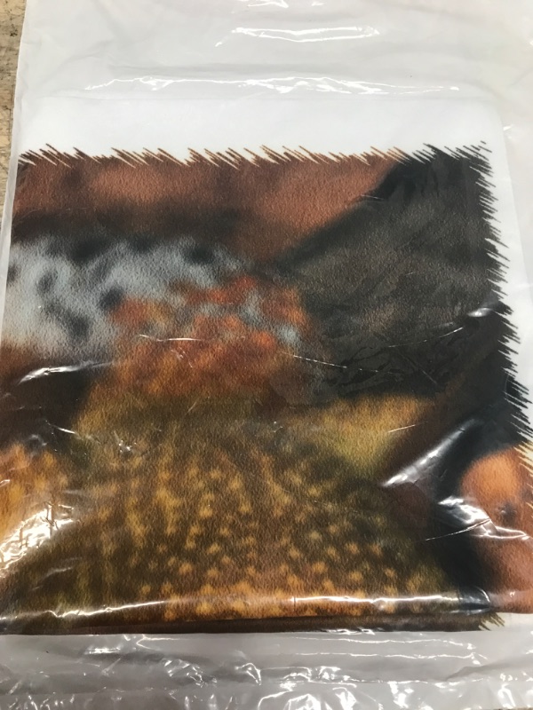 Photo 2 of 3dRose pc_73099_1 Leopard Gecko Morph, Lizard, Pakistan-AS28 AJE0000-Adam Jones-Pillow Case, 16 by 16" 16x16 inch Pillow Case