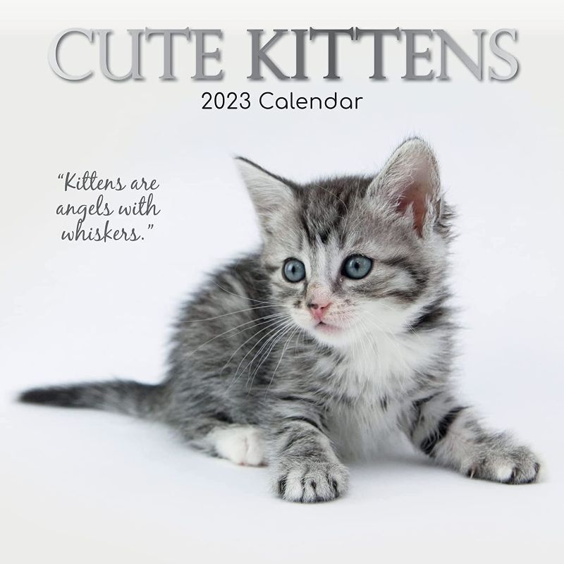 Photo 1 of 2
2023 Square Wall Calendar, Cute Kittens, 16-Month Animals Theme with 180 Reminder Stickers (12 x 12 In)
