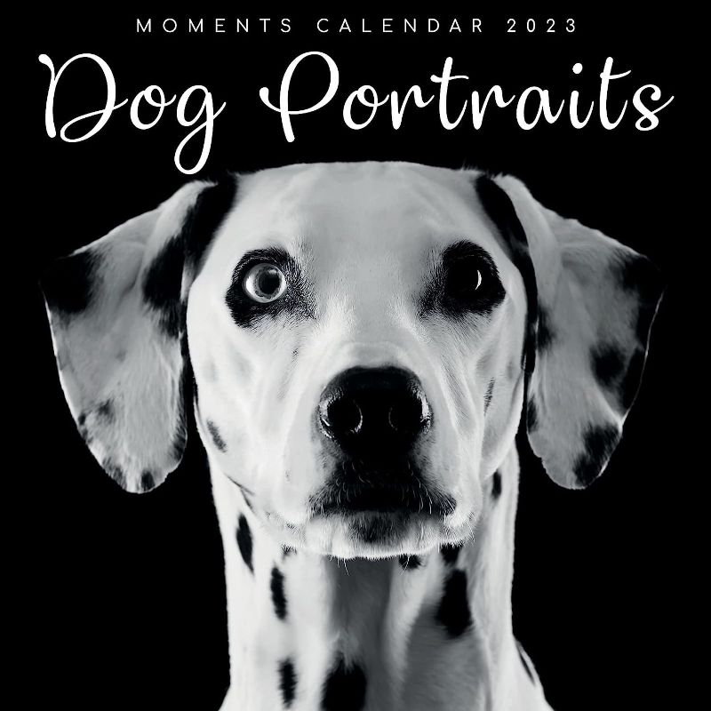 Photo 2 of 2023 Square Wall Calendar, Dog Portraits, 16-Month Black and White Photos with 180 Reminder Stickers (12 x 12 In)-- 
2 ITEMS 