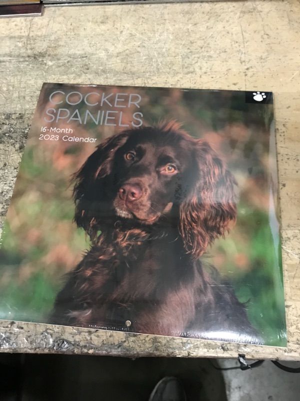 Photo 2 of 2023 Square Wall Calendar, Cocker Spaniels, 16-Month Paw Prints Theme with 180 Reminder Stickers (12 x 12 In)