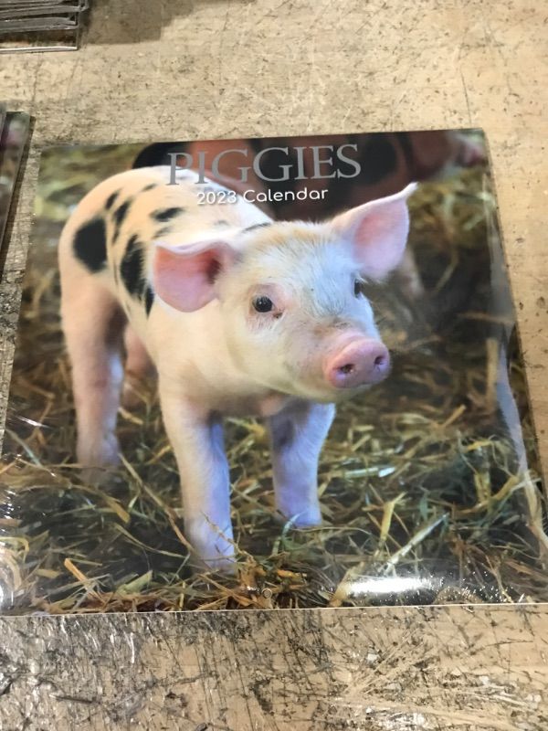 Photo 2 of 2023 Square Wall Calendar, Piggies, 16-Month Animals Theme with 180 Reminder Stickers (12 x 12 In)